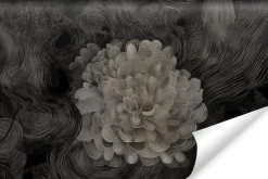 Fototapeta Monochromatyczna Kwiatowa Abstrakcja 450x300cm