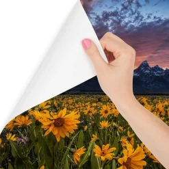 Fototapeta ZACHÓD Słońca Żółte Kwiaty 3D 90x60cm