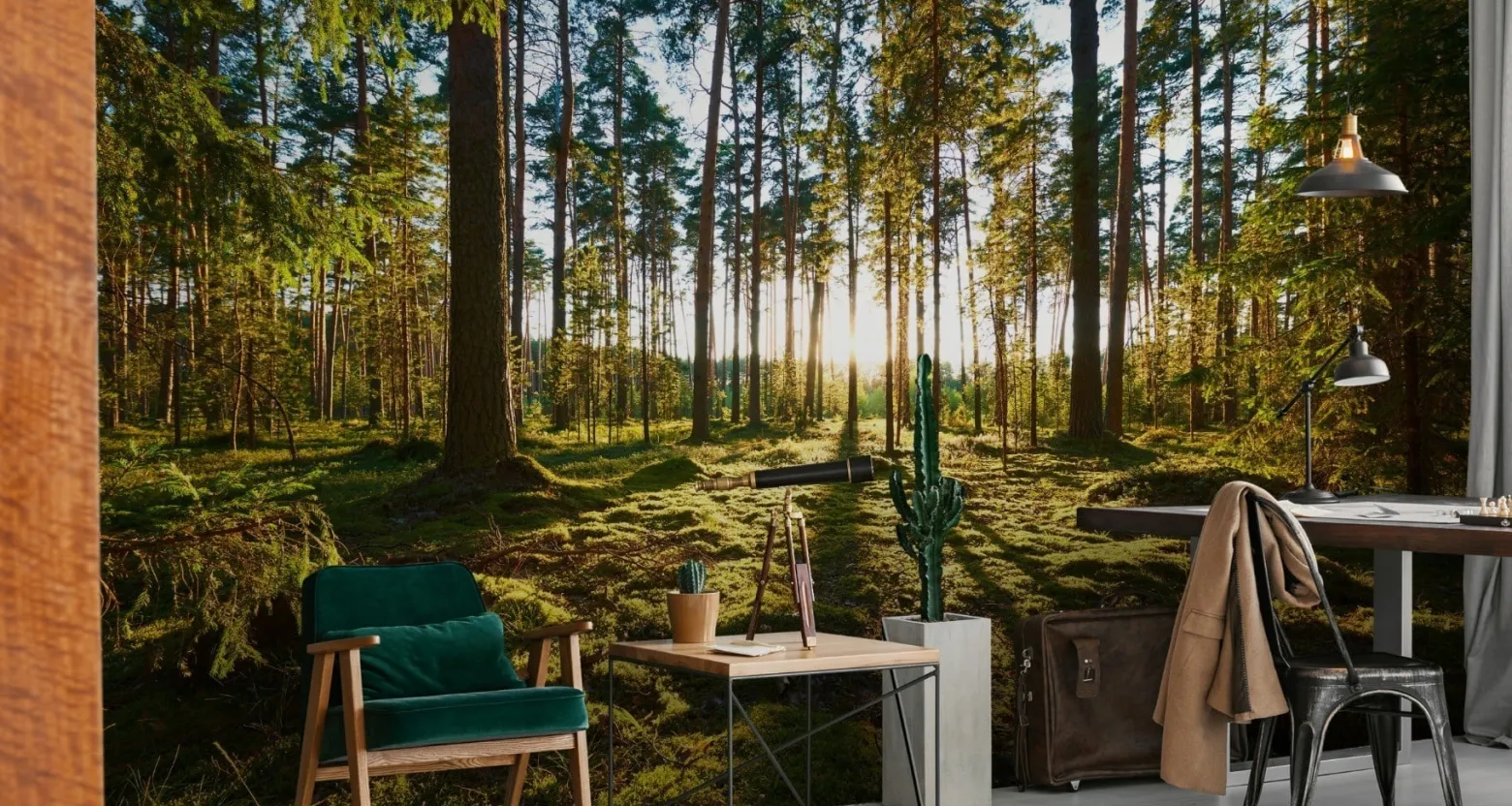 Fototapeta Zachód Słońca w Lesie 90x60cm