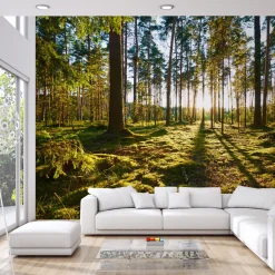 Fototapeta Zachód Słońca w Lesie 90x60cm