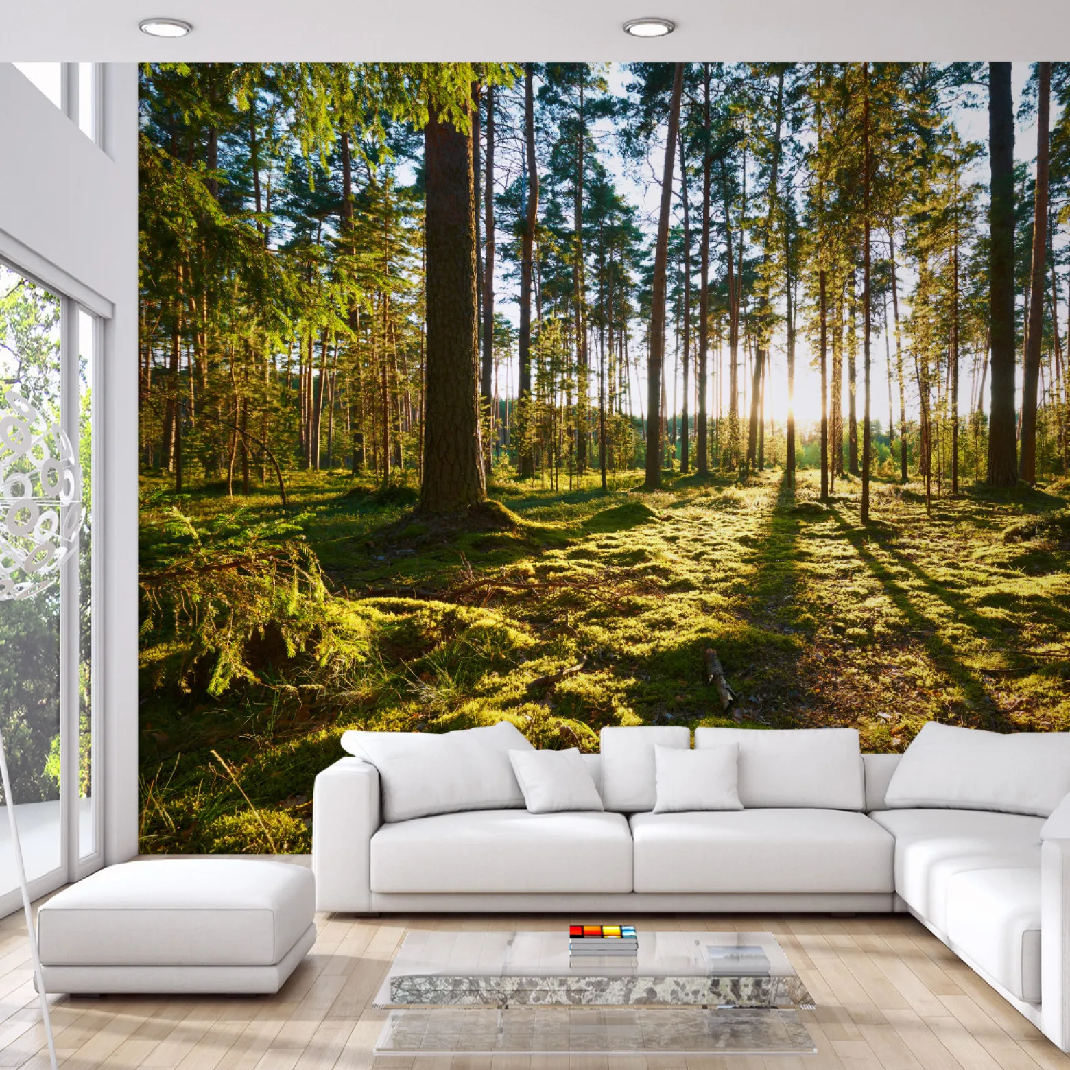 Fototapeta Zachód Słońca w Lesie 90x60cm