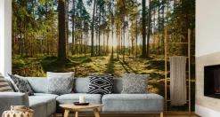 Fototapeta Zachód Słońca w Lesie 90x60cm