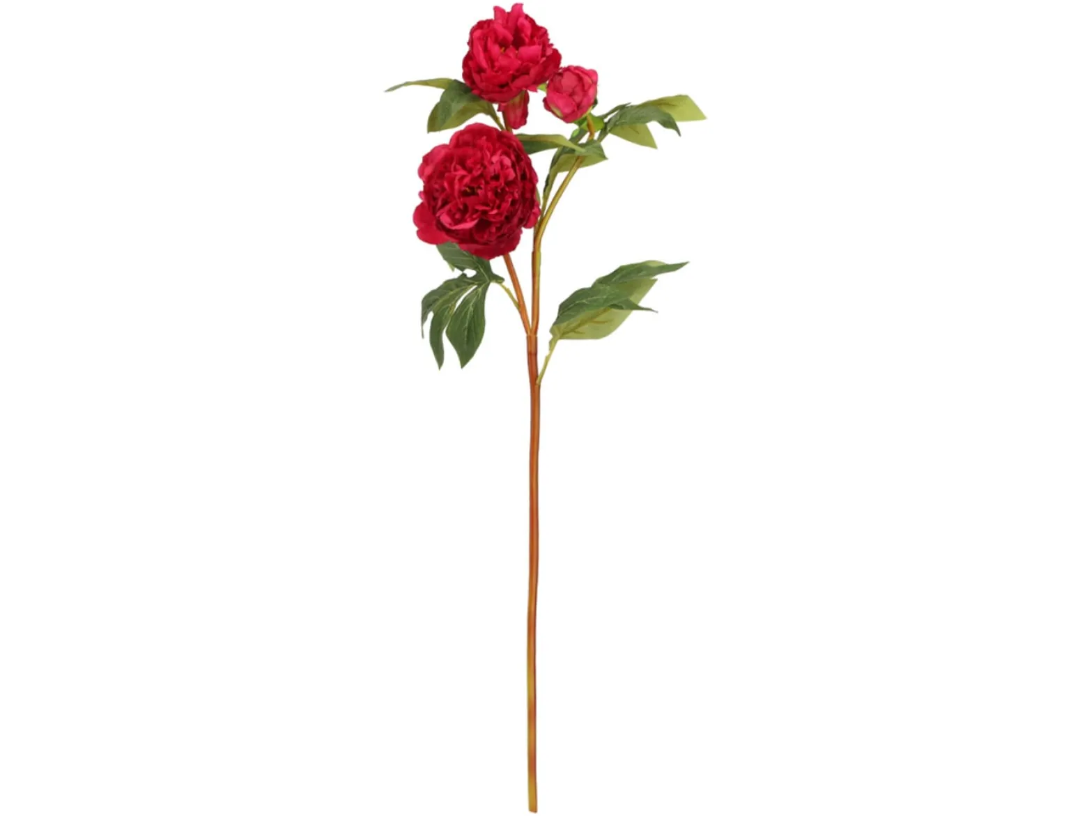 Gałązka ozdobna Piwonia 75 cm mix kolorów