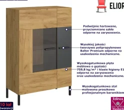 Industrialna witryna w kolorze dąb craft + antracyt - Avtica