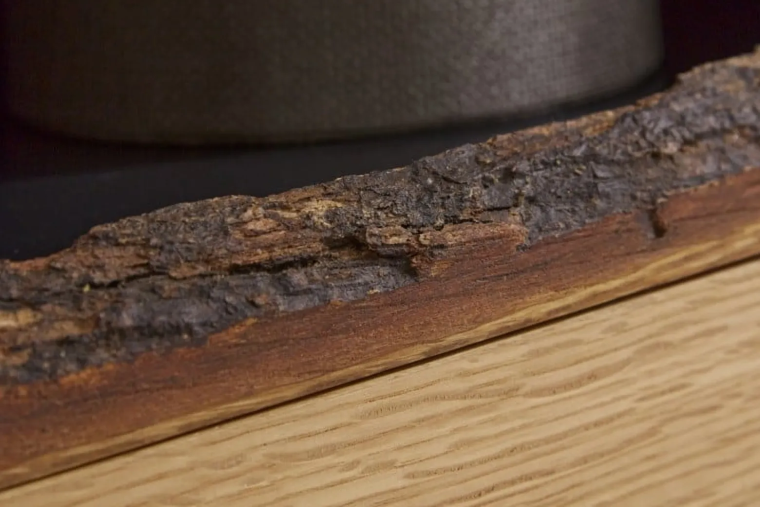 INVICTA komoda WILD OAK 120 cm szary dąb - drewno naturalne