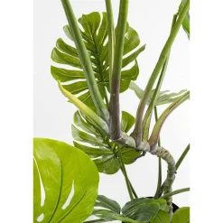 KARE roślina dekoracyjna MONSTERA 110 cm