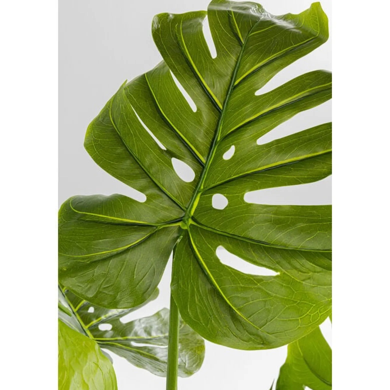 KARE roślina dekoracyjna MONSTERA 110 cm