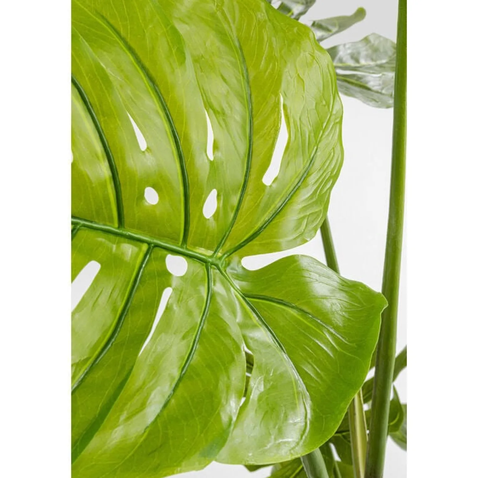 KARE roślina dekoracyjna MONSTERA 110 cm