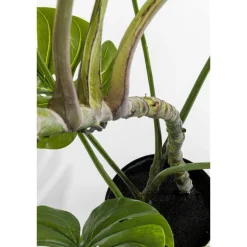 KARE roślina dekoracyjna MONSTERA 110 cm