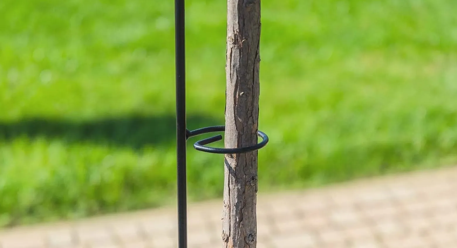 Kwietnik Stojak Obejma Podpora Stal Na Róże 140cm