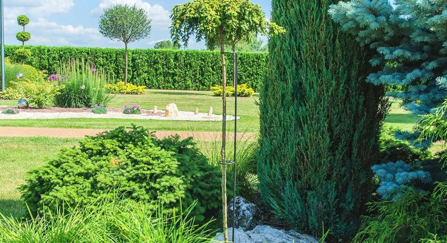 Kwietnik Stojak Obejma Podpora Stal Na Róże 140cm