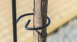 Kwietnik Stojak Obejma Podpora Stal Na Róże 140cm