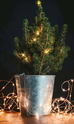 Lampki choinkowe 10 Led na baterie ciepły biały