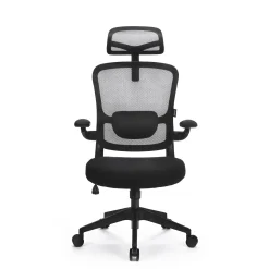 LEVANO SYSTEM Fotel biurowy Ergo Basic