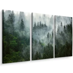 Obraz 3-Częściowy Las We Mgle 3D 60x40cm