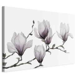 Obraz Malowane magnolie 60 x 40 cm