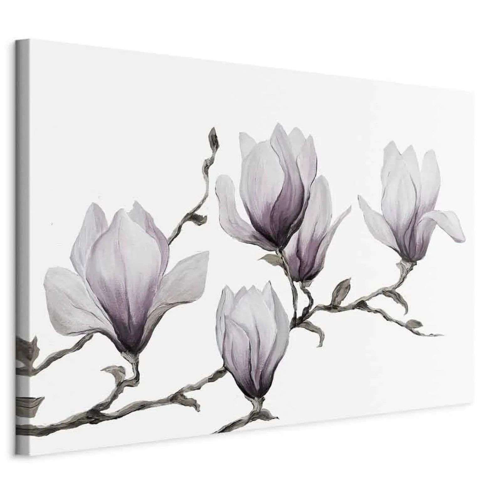Obraz Malowane magnolie 60 x 40 cm