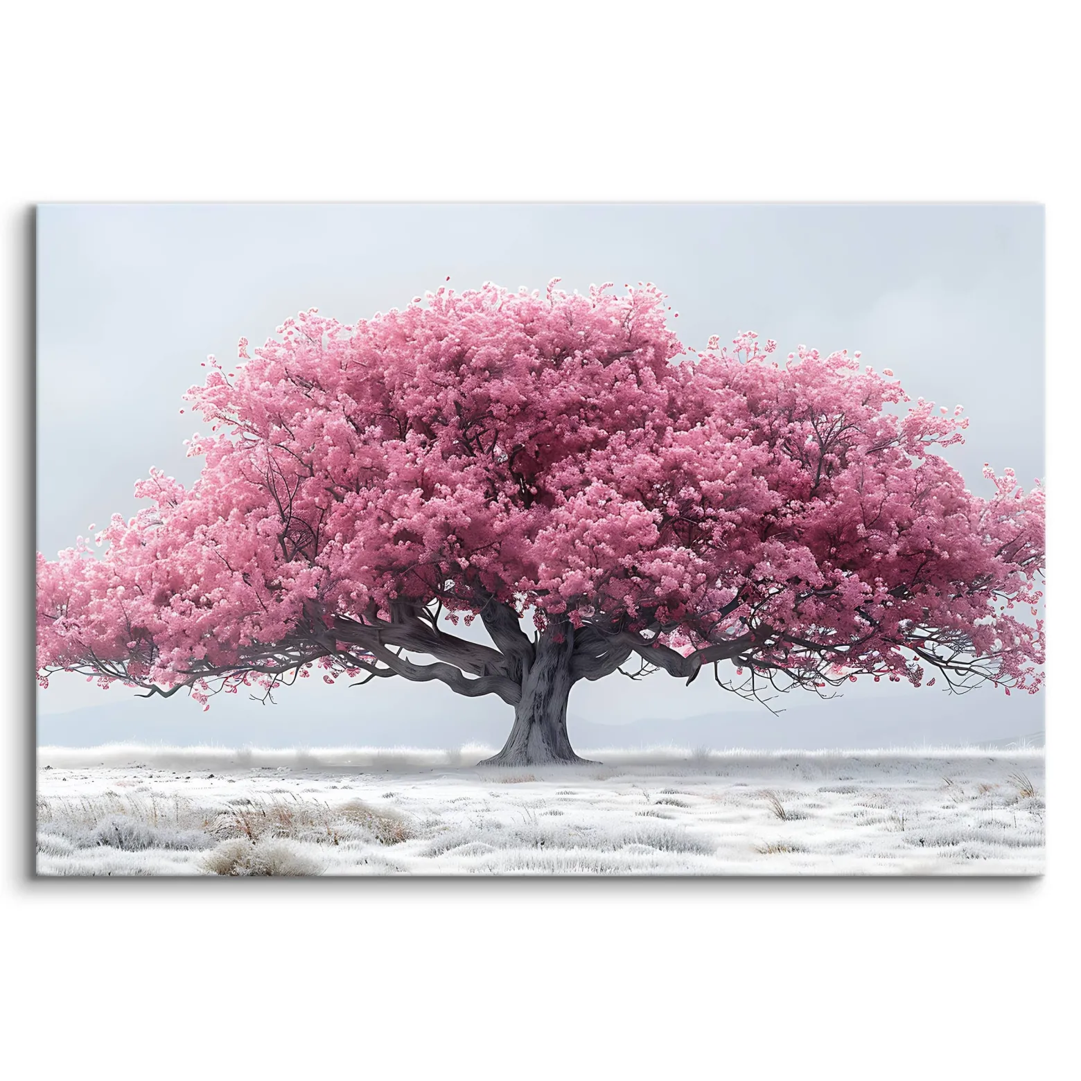 Obraz Sakura Kwiaty Kwitnącej Wiśni 30x20cm