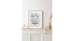 Obraz w ramie Ocean Fish In Pastels 53x73 cm