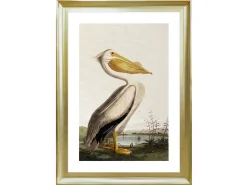 Obraz w ramie Pelican Over The Water 58x68 cm