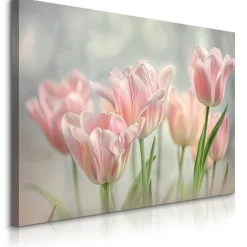 Obraz Barwne Tulipany 30x20cm