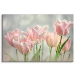 Obraz Barwne Tulipany 30x20cm