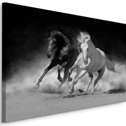 Obraz Czarno-Biały Konie w Galopie 3D 30x20cm