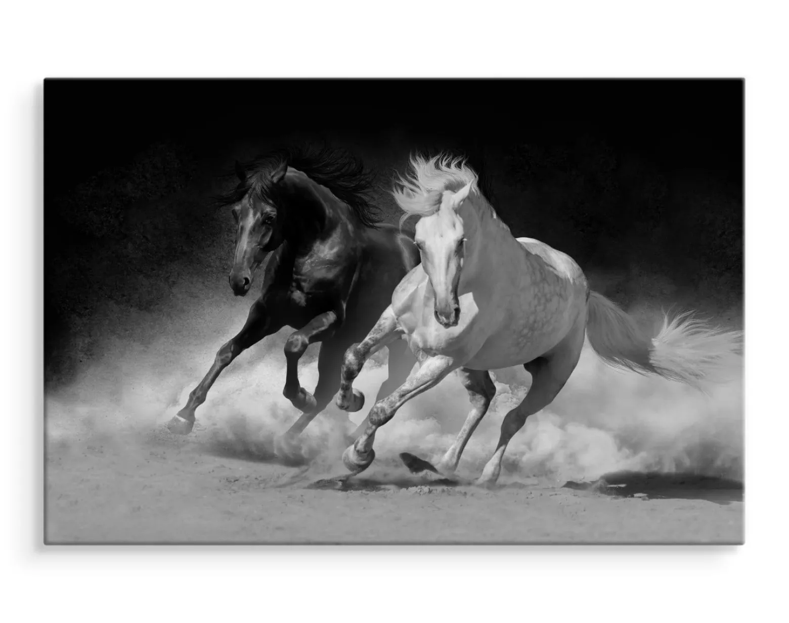 Obraz Czarno-Biały Konie w Galopie 3D 30x20cm