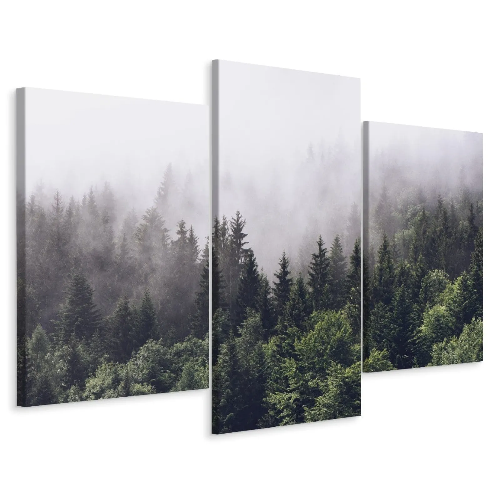 Obraz 3-Częściowy LAS Drzewa We Mgle Pejzaż 3D 60x40cm