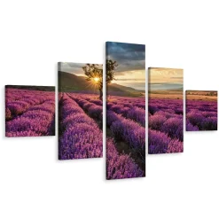 Obraz 5-Częściowy Widok Na Pole Lawendy Pejzaż 3D 150x90cm