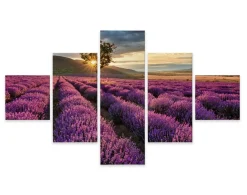 Obraz 5-Częściowy Widok Na Pole Lawendy Pejzaż 3D 150x90cm