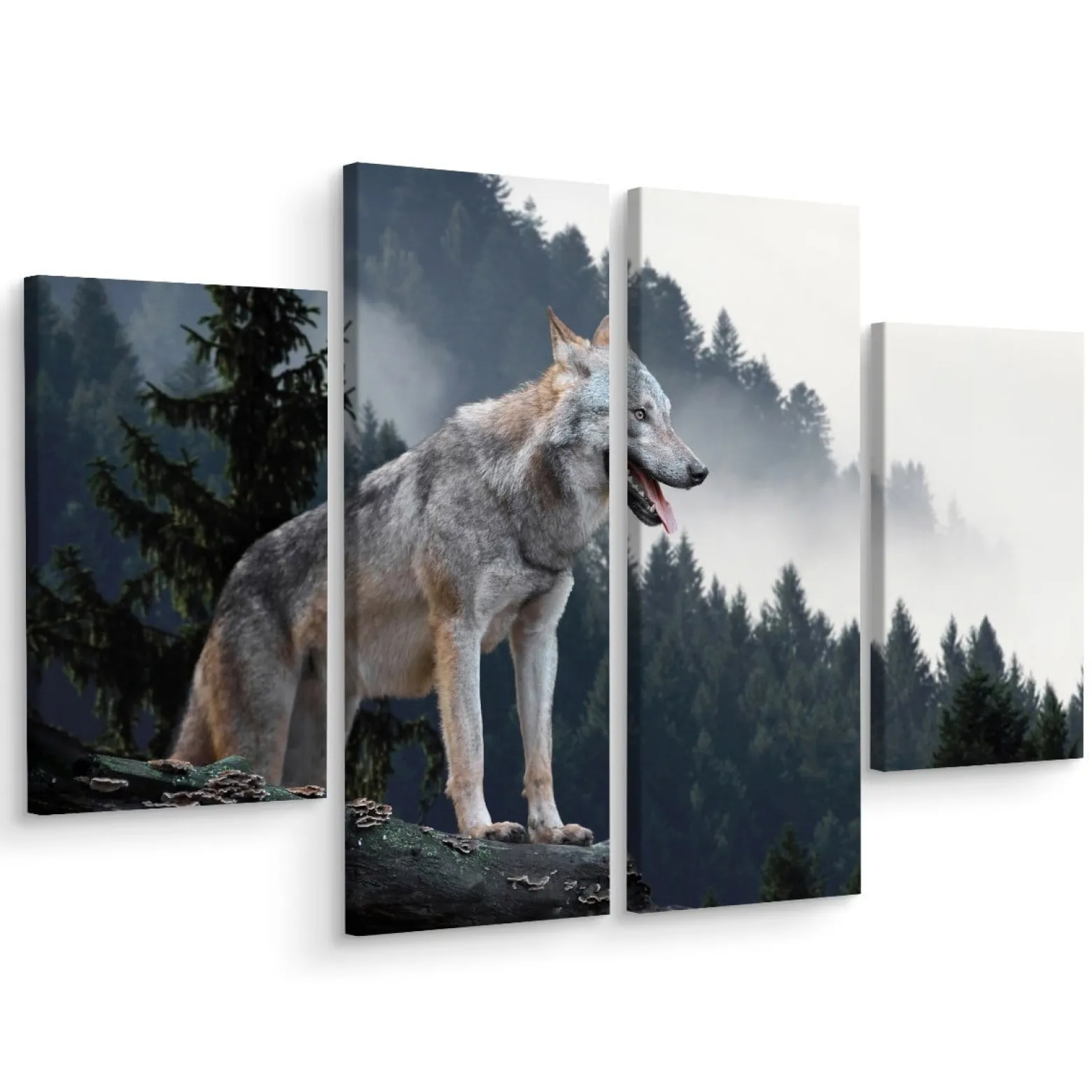 Obraz 4-Częściowy WILK w Lesie Pejzaż 3D 80x60cm