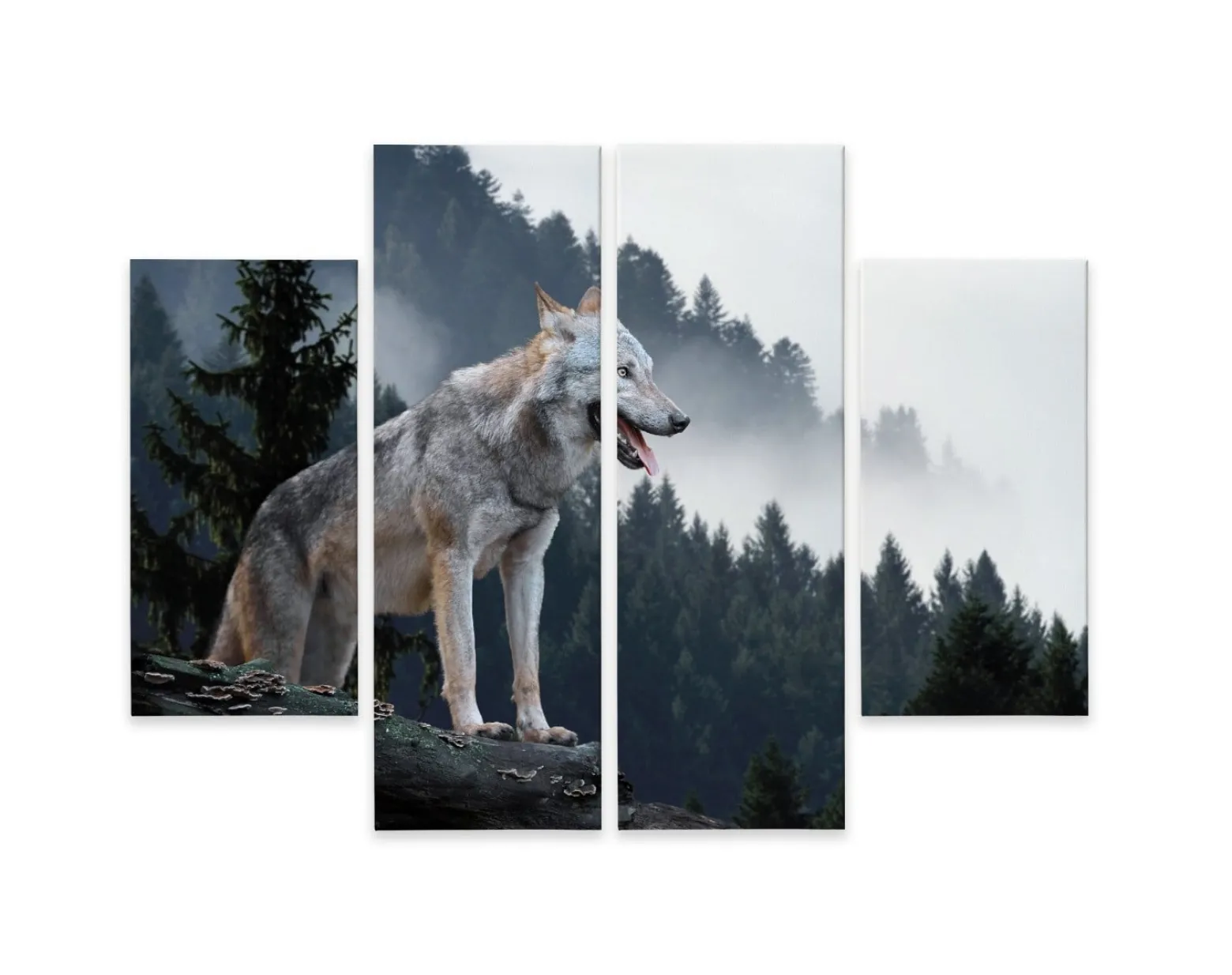 Obraz 4-Częściowy WILK w Lesie Pejzaż 3D 80x60cm