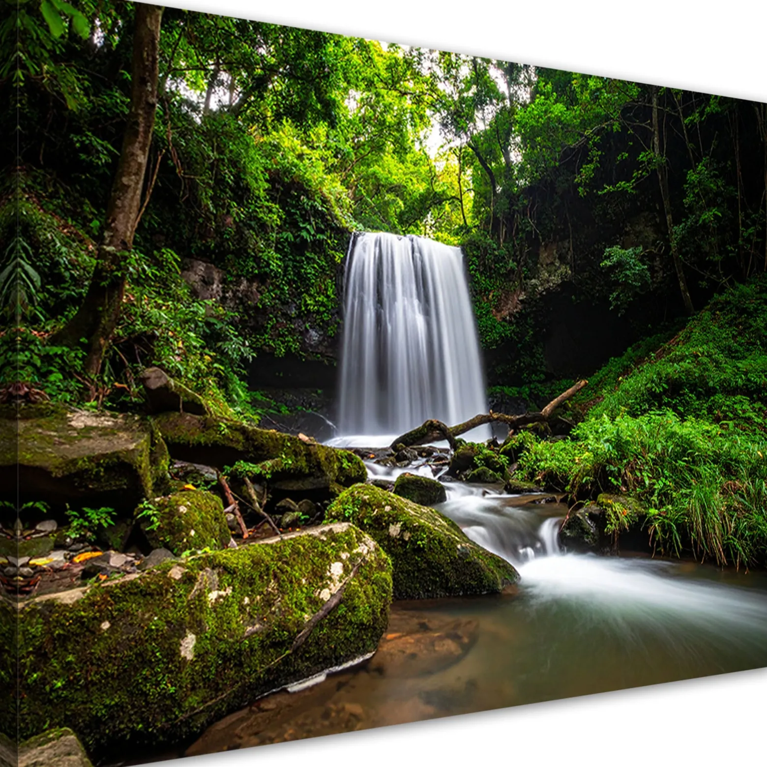 Obraz do salonu sypialni biura, Krajobraz wodospad drzewa natura 30x20