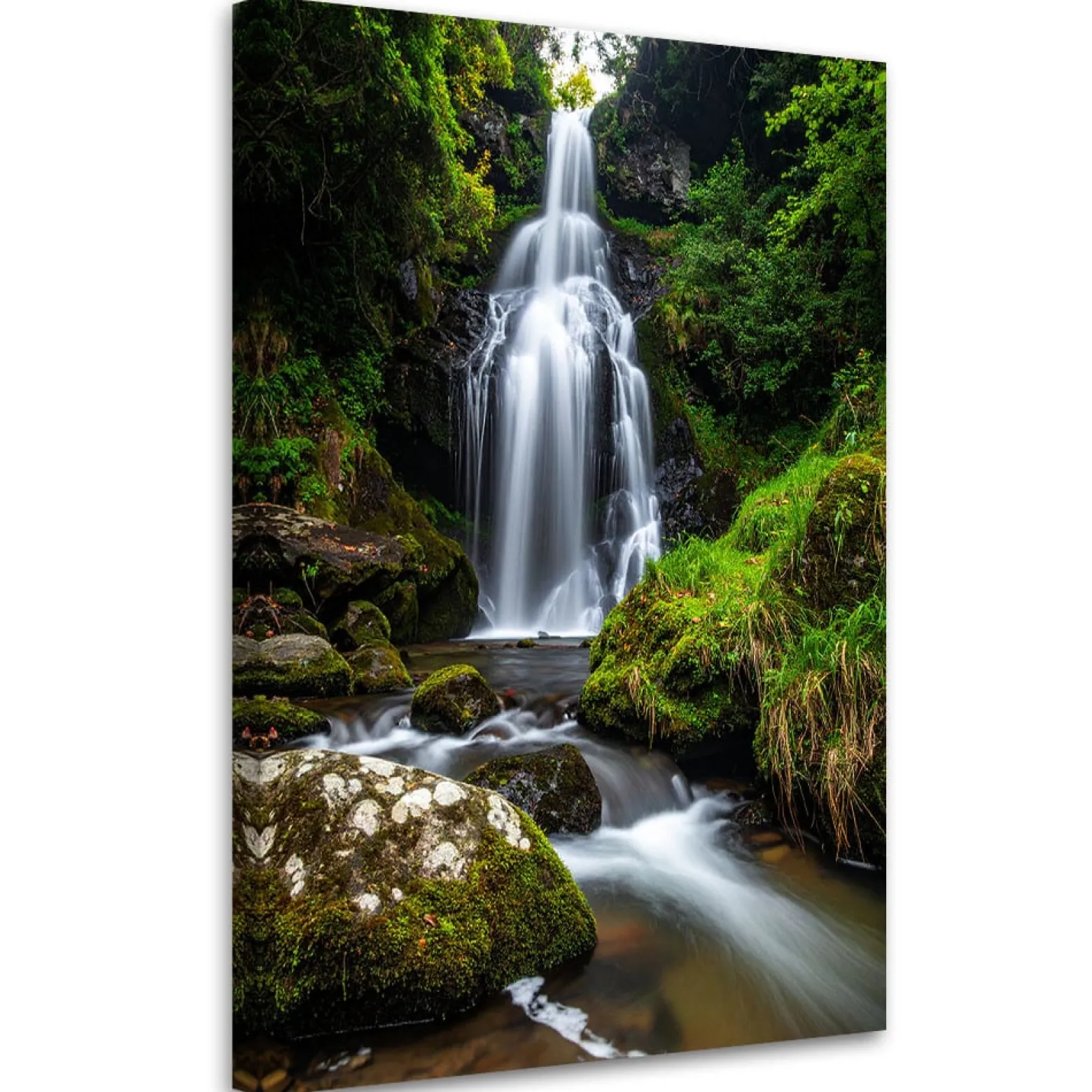 Obraz do salonu sypialni biura, Pejzaż wodospad drzewa natura 20x30