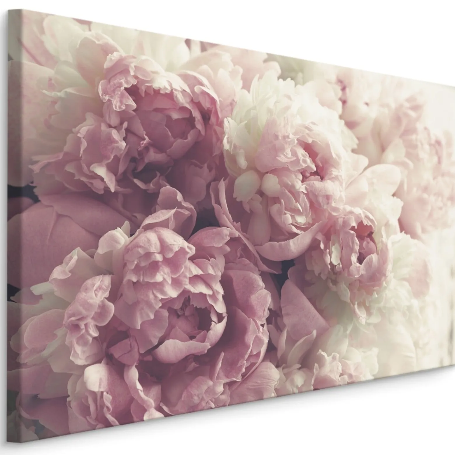 Obraz Kwitnące Kwiaty Piwonii 3D 30x20cm