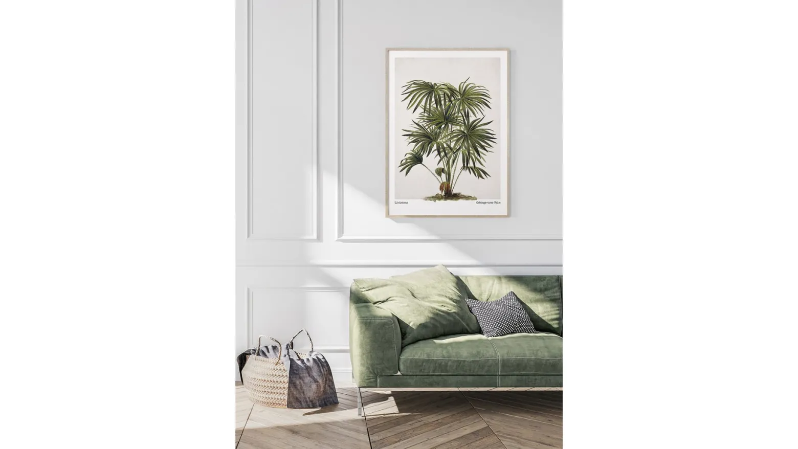 Obraz w ramie Cabbage - Tree Palm 53x73 cm