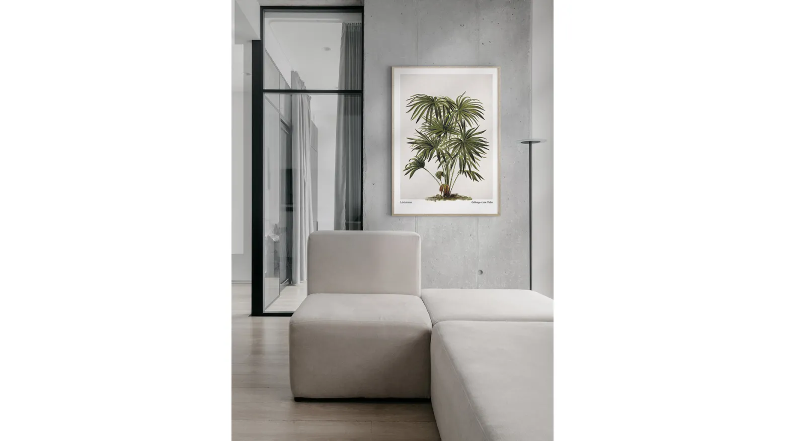 Obraz w ramie Cabbage - Tree Palm 53x73 cm