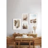 Obraz w ramie Coastal Dunes No.1 53x73 cm