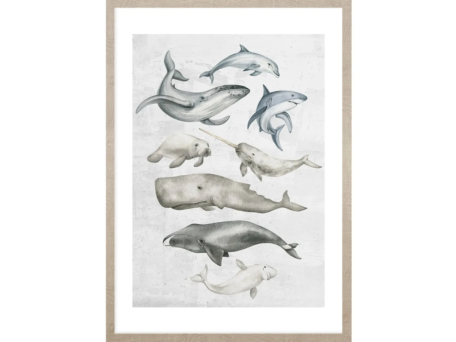 Obraz w ramie Ocean Fish In Pastels 53x73 cm