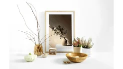 Obraz w ramie Olive Branch 53x73 cm