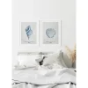 Obraz w ramie Tropical Shells Collection No. 1 53x73 cm