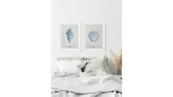 Obraz w ramie Tropical Shells Collection No. 1 53x73 cm