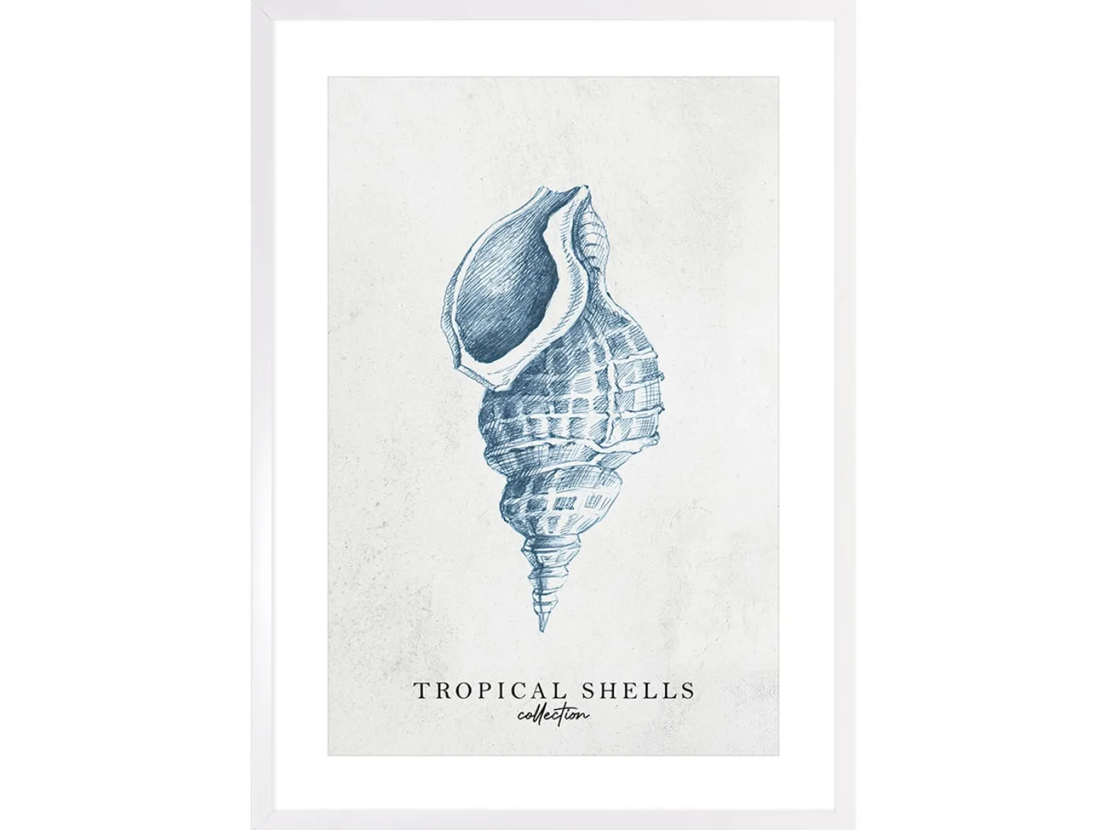 Obraz w ramie Tropical Shells Collection No. 1 53x73 cm