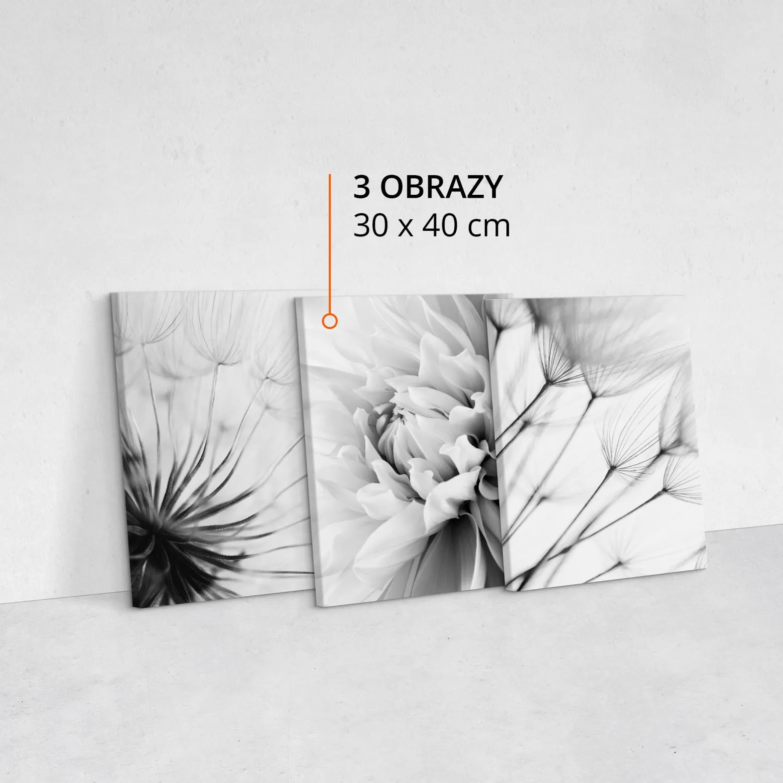 Obrazy Czarno-Białe Kwiaty z Bliska 3D