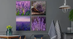 Obrazy Do Kuchni SET Kwiaty Lawendy 60x60cm