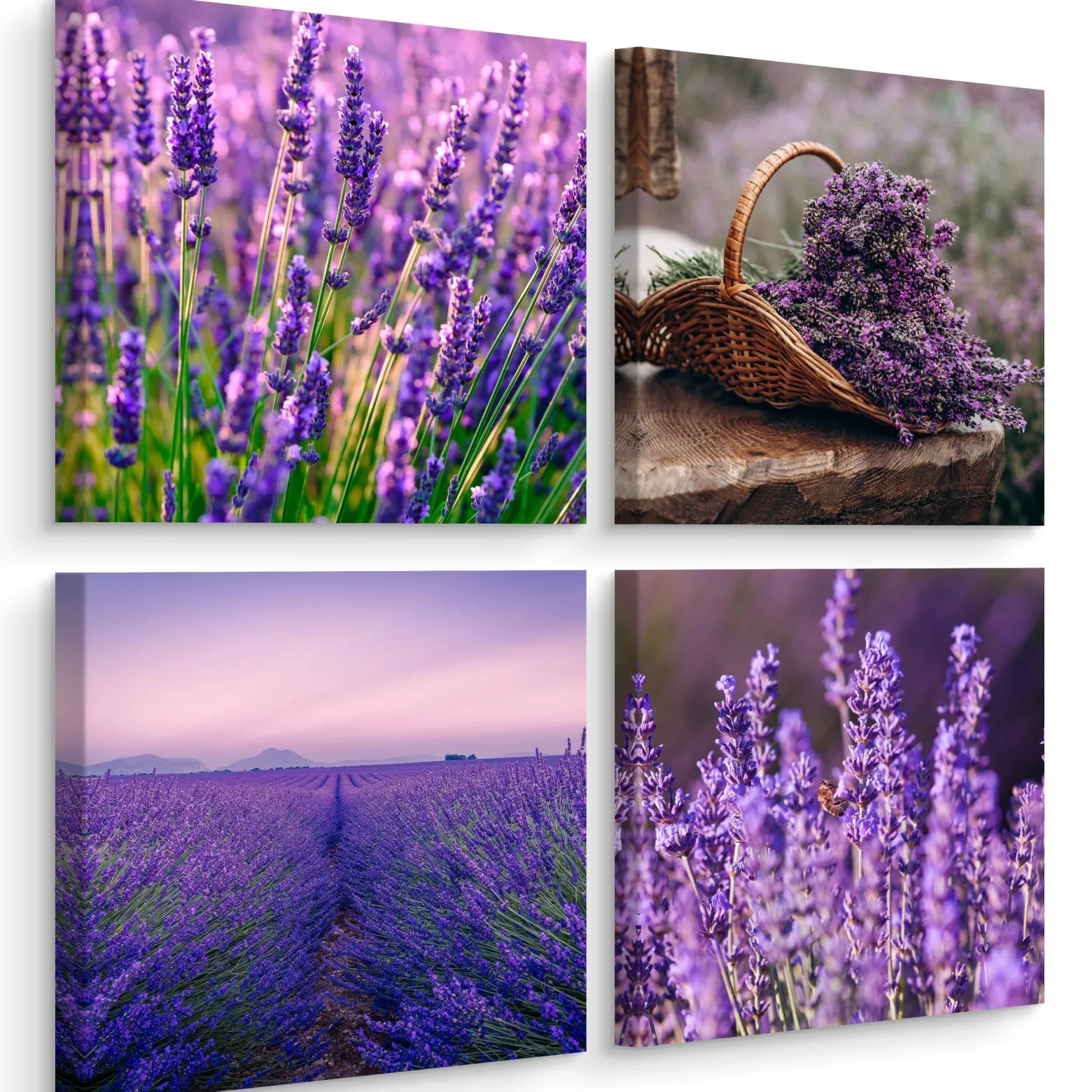 Obrazy Do Kuchni SET Kwiaty Lawendy 60x60cm