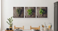 Obrazy Do Kuchni SET Świeże Zioła 120x40cm