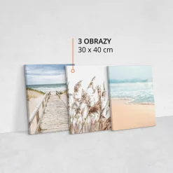 Obrazy Plaża Morze Rośliny Krajobraz 3D