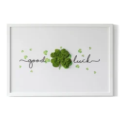Obraz z mchem - "Good Luck" koniczyna 60x40 cm Biała Rama